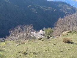 Castaño Real