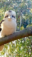 Phillip Island Nature Resort
