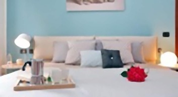 Bed & Dream