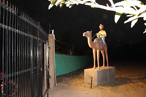 Desert Nights