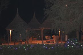 Desert Nights