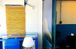 Surfari Punta Rocas