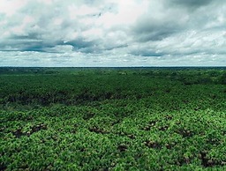 EcoAmazonia Lodge