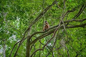 EcoAmazonia Lodge