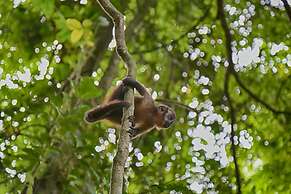 EcoAmazonia Lodge