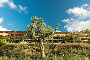 Casette di Calzata