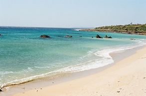 Sasalamo