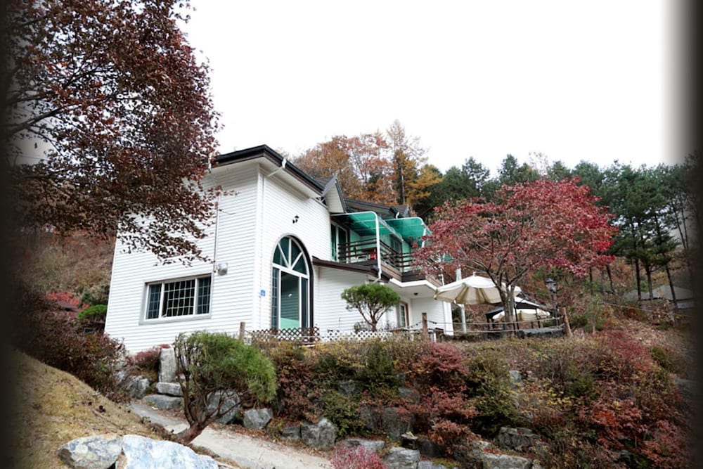 Pine Aroma Pension