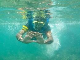 The Beach House  Nilaveli