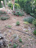 Cortijo Veracruz
