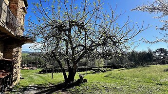 Agriturismo Podere Cortilla