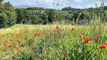 Agriturismo Podere Cortilla