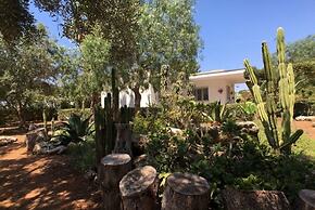 Villa Rosita