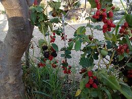 Guest House Casale 920