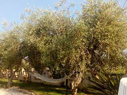 Guest House Casale 920