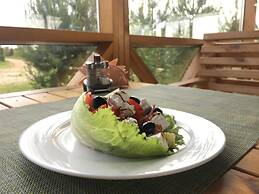 Krenitsy