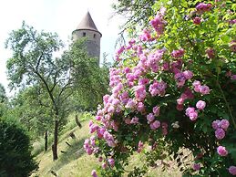 Weingut Gästehaus Weigand