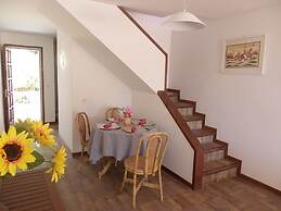 Danlux Roma