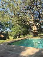 Bosbok Lodge