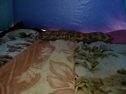 Mars Private camp