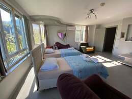 Cosy Park Apartment