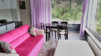 Cosy Park Apartment