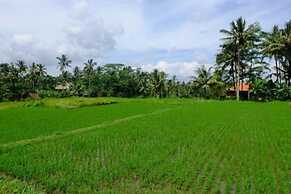 Kubu Jamu Ubud