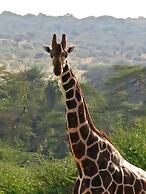 Ewaso Camp Laikipia