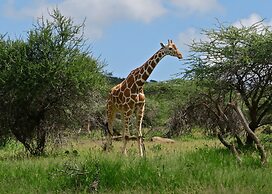 Ewaso Camp Laikipia