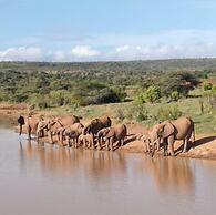 Ewaso Camp Laikipia