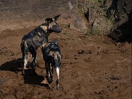 Ewaso Camp Laikipia