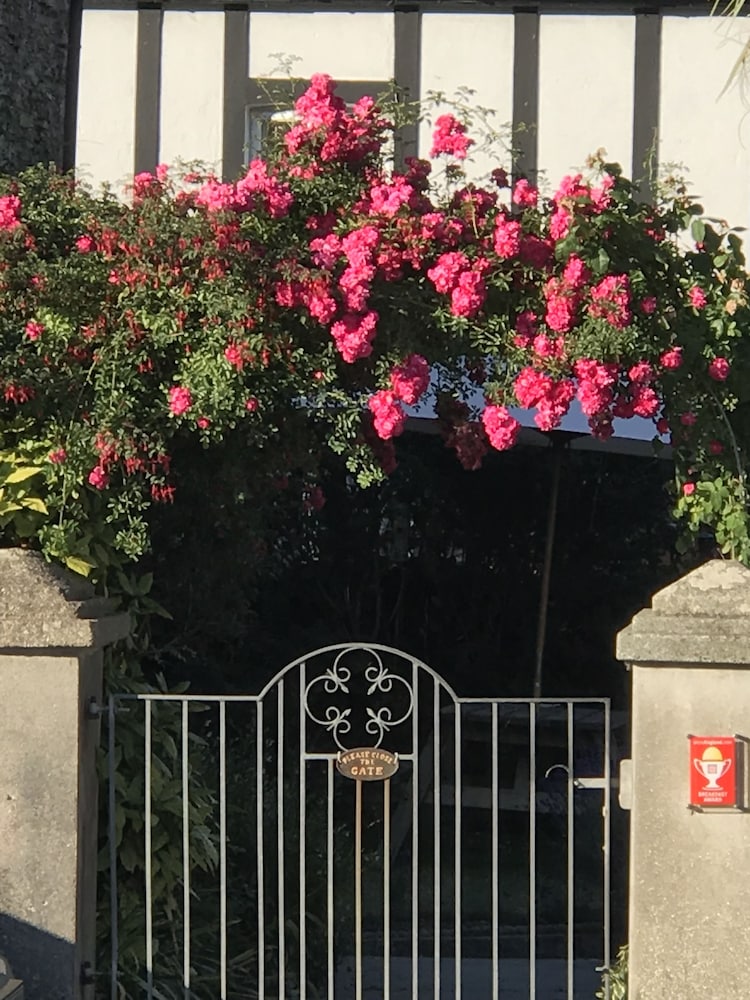 Spring Gardens B&B