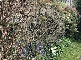 Spring Gardens B&B