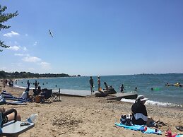 The Shores