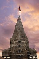 Ginger Dwarka