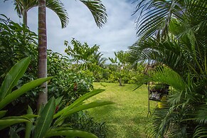 Arganama Guesthouse