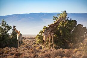 Kuganha Luxury Tented Camp