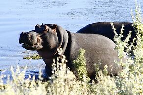 Kuganha Luxury Tented Camp