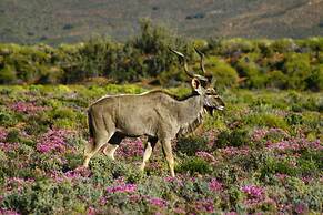 Kuganha Luxury Tented Camp