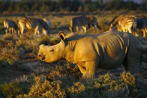 Kuganha Luxury Tented Camp