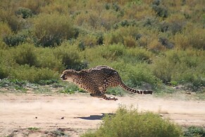 Kuganha Luxury Tented Camp
