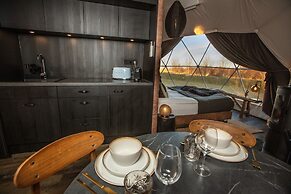 Reykjavik Domes