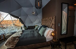 Reykjavik Domes