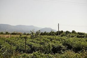 Il Vecchio Frantoio