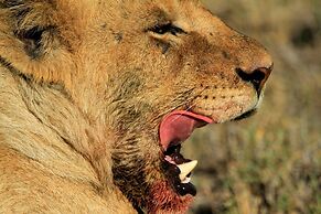 Nahubwe Safari Lodge