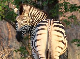 Tlou Safari Lodge