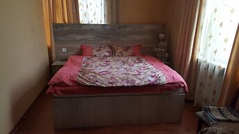 Pamir Hotel-Hostel