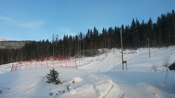 Vrådal Hyttegrend