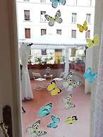 B&B Barbera 35