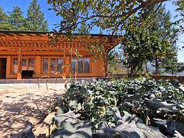 Rema Resort